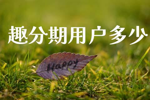 趣分期用户多少_https://wap.letulww.com_投资管理_第1张