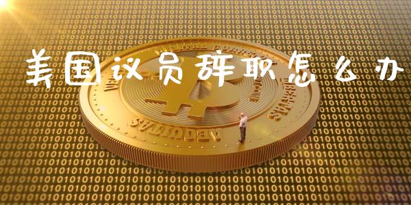 美国议员辞职怎么办_https://wap.letulww.com_投资管理_第1张