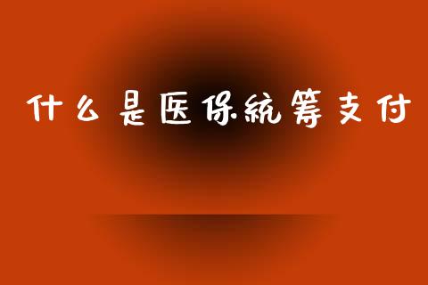 什么是医保统筹支付_https://wap.letulww.com_外汇交易_第1张