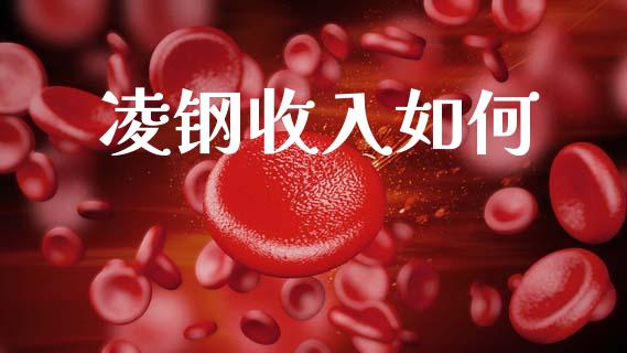 凌钢收入如何_https://wap.letulww.com_投资策略_第1张