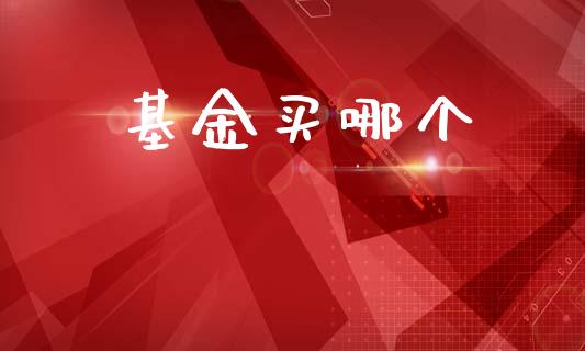 基金买哪个_https://wap.letulww.com_融资租赁_第1张