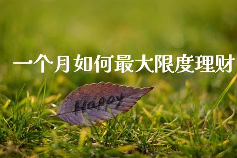一个月如何最大限度理财_https://wap.letulww.com_投资策略_第1张