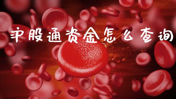 沪股通资金怎么查询_https://wap.letulww.com_投资管理_第1张