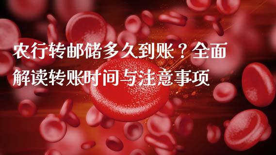 农行转邮储多久到账？全面解读转账时间与注意事项_https://wap.letulww.com_外汇交易_第1张