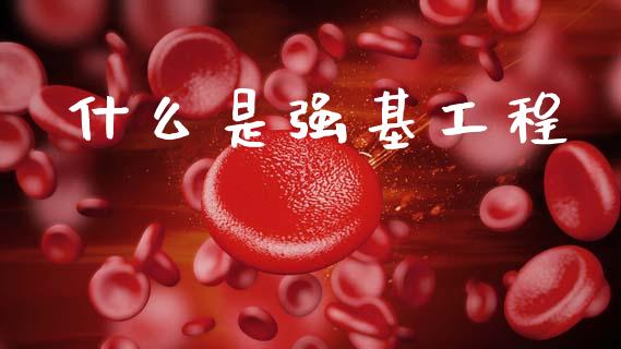 什么是强基工程_https://wap.letulww.com_融资租赁_第1张