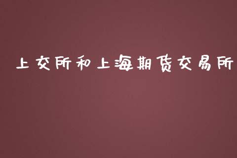 上交所和上海期货交易所_https://wap.letulww.com_投资策略_第1张