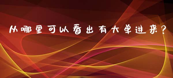 从哪里可以看出有大单进来？_https://wap.letulww.com_投资策略_第1张