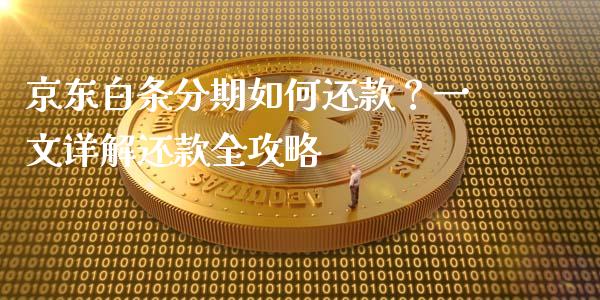京东白条分期如何还款？一文详解还款全攻略_https://wap.letulww.com_投资管理_第1张