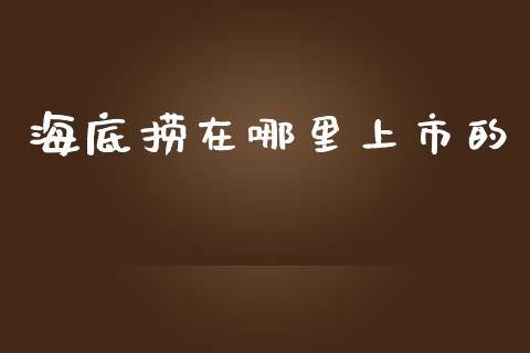 海底捞在哪里上市的_https://wap.letulww.com_融资租赁_第1张
