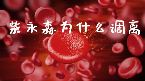 柴永森为什么调离_https://wap.letulww.com_投资策略_第1张
