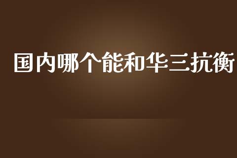国内哪个能和华三抗衡_https://wap.letulww.com_融资租赁_第1张