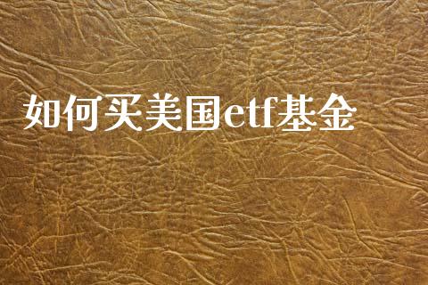 如何买美国etf基金_https://wap.letulww.com_投资管理_第1张
