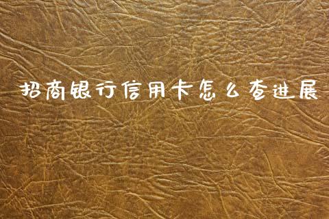 招商银行信用卡怎么查进展_https://wap.letulww.com_外汇交易_第1张