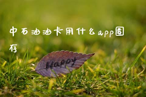 中石油油卡用什么app圈存_https://wap.letulww.com_融资租赁_第1张