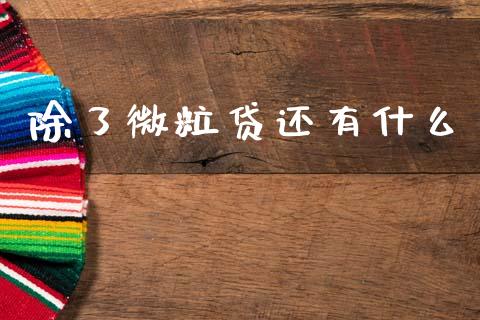 除了微粒贷还有什么_https://wap.letulww.com_投资策略_第1张