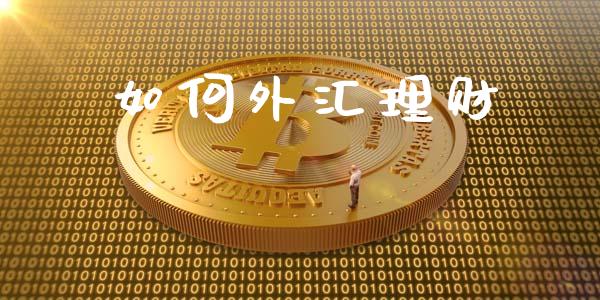 如何外汇理财_https://wap.letulww.com_外汇交易_第1张
