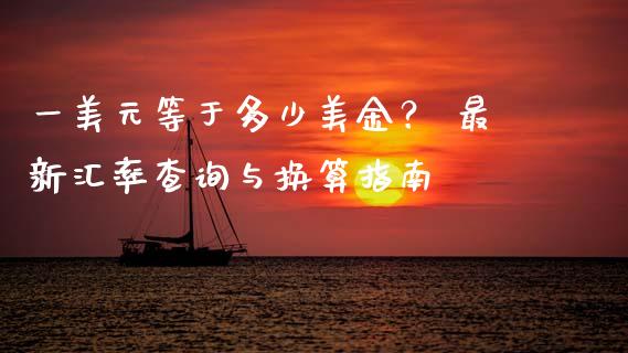 一美元等于多少美金？ 最新汇率查询与换算指南_https://wap.letulww.com_外汇交易_第1张