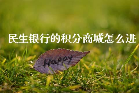 民生银行的积分商城怎么进_https://wap.letulww.com_投资管理_第1张