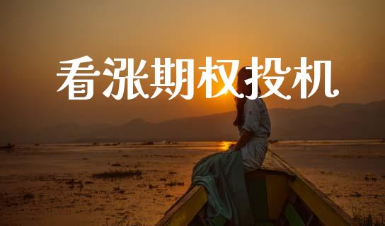 看涨期权投机_https://wap.letulww.com_投资管理_第1张