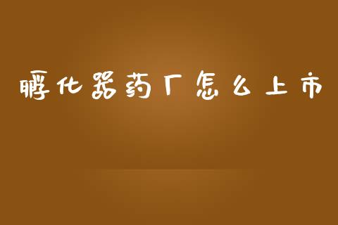 孵化器药厂怎么上市_https://wap.letulww.com_投资策略_第1张