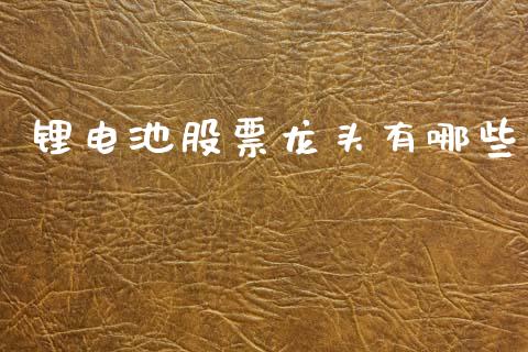 锂电池股票龙头有哪些_https://wap.letulww.com_投资管理_第1张