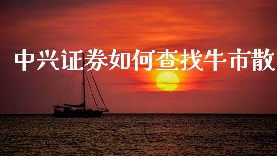 中兴证券如何查找牛市散_https://wap.letulww.com_外汇交易_第1张