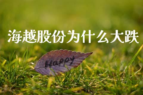 海越股份为什么大跌_https://wap.letulww.com_投资策略_第1张