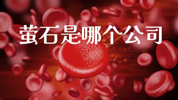 萤石是哪个公司_https://wap.letulww.com_投资策略_第1张
