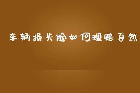 车辆损失险如何理赔自然_https://wap.letulww.com_外汇交易_第1张