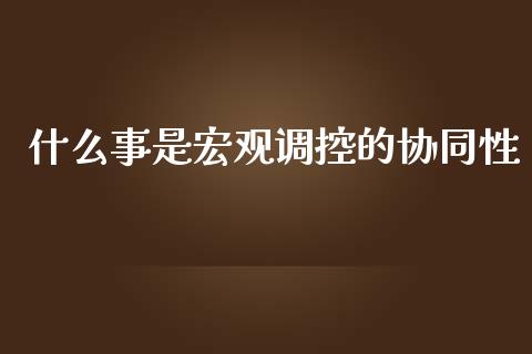 什么事是宏观调控的协同性_https://wap.letulww.com_融资租赁_第1张
