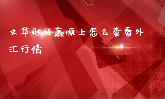 文华财经赢顺上怎么查看外汇行情_https://wap.letulww.com_投资策略_第1张