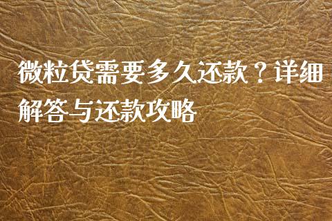 微粒贷需要多久还款？详细解答与还款攻略_https://wap.letulww.com_投资策略_第1张