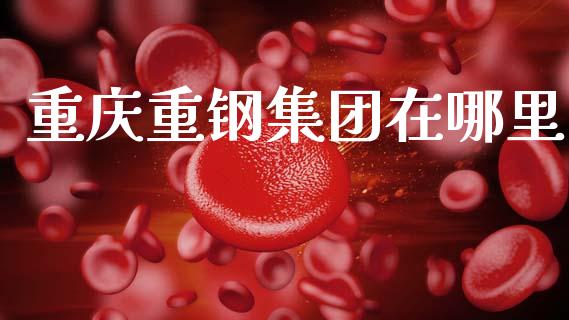 重庆重钢集团在哪里_https://wap.letulww.com_外汇交易_第1张