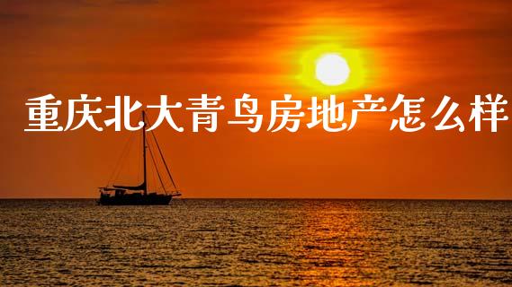 重庆北大青鸟房地产怎么样_https://wap.letulww.com_融资租赁_第1张