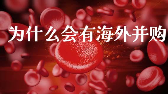 为什么会有海外并购_https://wap.letulww.com_融资租赁_第1张