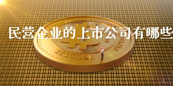 民营企业的上市公司有哪些_https://wap.letulww.com_外汇交易_第1张