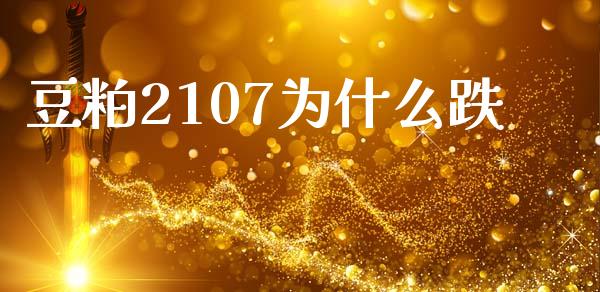 豆粕2107为什么跌_https://wap.letulww.com_外汇交易_第1张