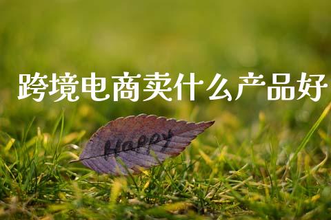 跨境电商卖什么产品好_https://wap.letulww.com_外汇交易_第1张