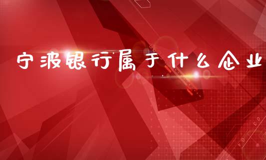 宁波银行属于什么企业_https://wap.letulww.com_投资策略_第1张