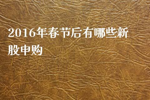 2016年春节后有哪些新股申购_https://wap.letulww.com_外汇交易_第1张