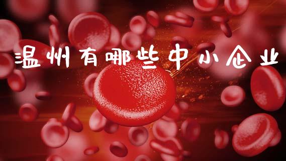 温州有哪些中小企业_https://wap.letulww.com_外汇交易_第1张
