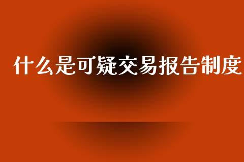 什么是可疑交易报告制度_https://wap.letulww.com_外汇交易_第1张