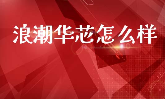 浪潮华芯怎么样_https://wap.letulww.com_投资策略_第1张