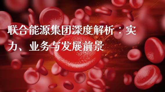 联合能源集团深度解析：实力、业务与发展前景_https://wap.letulww.com_投资管理_第1张