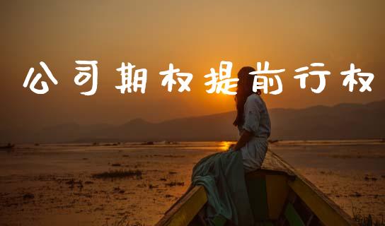 公司期权提前行权_https://wap.letulww.com_融资租赁_第1张