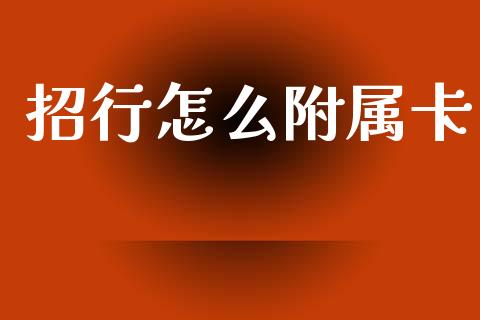 招行怎么附属卡_https://wap.letulww.com_投资管理_第1张