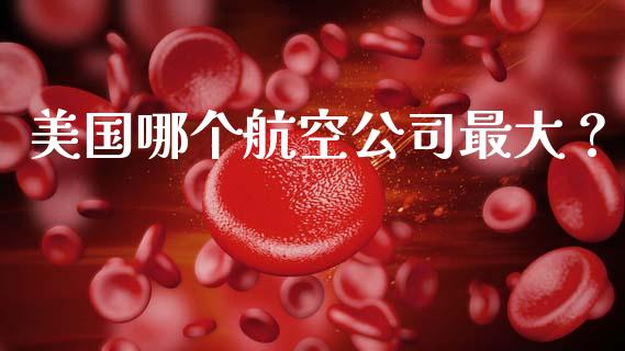 美国哪个航空公司最大？_https://wap.letulww.com_投资策略_第1张
