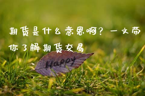 期货是什么意思啊？一文带你了解期货交易_https://wap.letulww.com_外汇交易_第1张