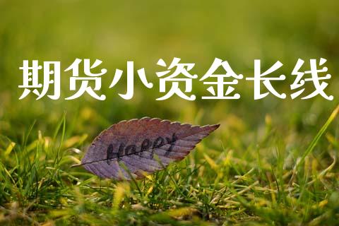 期货小资金长线_https://wap.letulww.com_投资策略_第1张