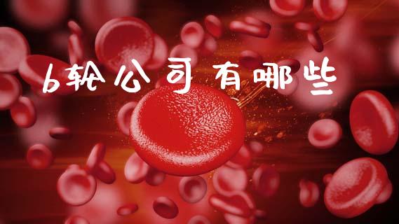 b轮公司有哪些_https://wap.letulww.com_投资管理_第1张